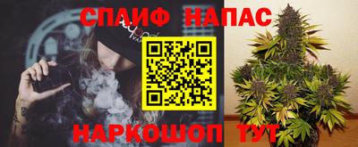 крисы Малоярославец