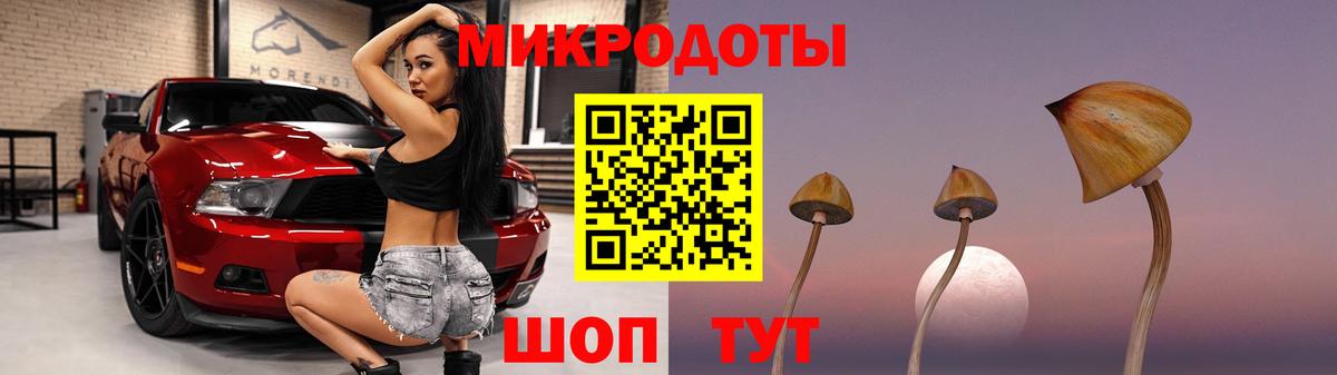 купить  сайты  Вход с VPN  Заринск  Галлюциногенные грибы мицелий 
